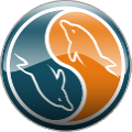 MySQL Database